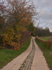 country road in autumn
