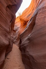 Beautiful landscape around Buckskin Gulch slot canyon