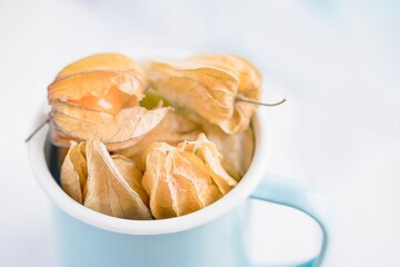 Winter cherries or physalis in enameled cup on a light background. Copy space