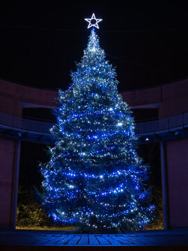 Christmas tree outside with blue lightning and star on top.