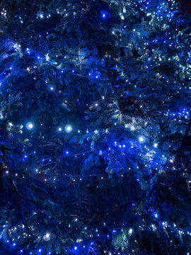 Christmas tree outside with blue lightning.