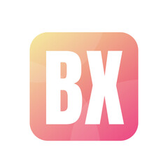 BX Letter Logo Design With Simple style