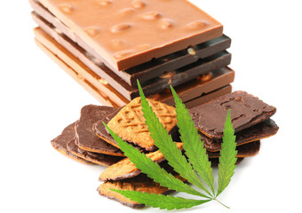 Edible cannabis from marijuana leaf with CBD content and edible chocolate on white isolated background. Hemp leaf and chocolate-coated cookies