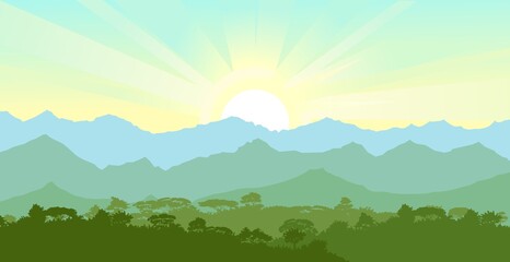 Fototapeta na wymiar Deciduous forest. Silhouette. Mature, spreading trees. Thick thickets. Hills overgrown with plants. On the horizon there are mountains and ebo with the sunrise. Morning. Vector