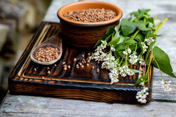 Raw organic buckwheat and fresh buckwheat flowers on wooden tray. Raw food. Healthy food for vegetarians.