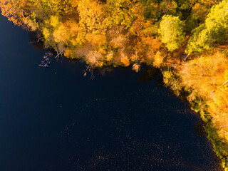 Aerial view of the autumn forest near the river in the afternoon