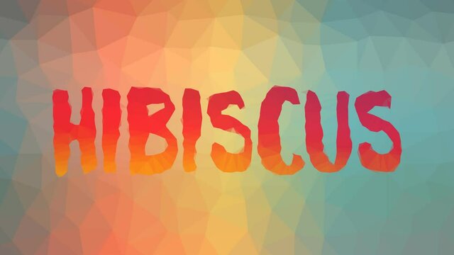 Hibiscus fade techno tessellated looping moving triangles