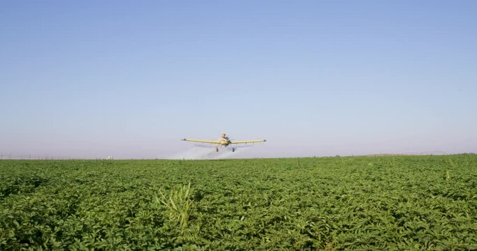 Side view of a crop duster flying low and spraying chemicals over vegetable crops