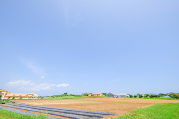 神奈川県横須賀市のソレイユの丘