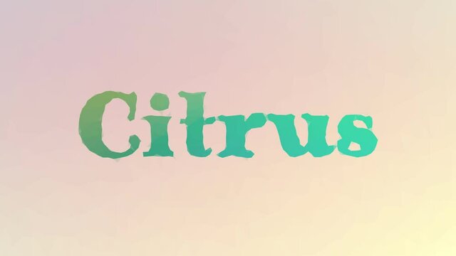 Citrus dissolving interesting tessellating looping pulsing triangles