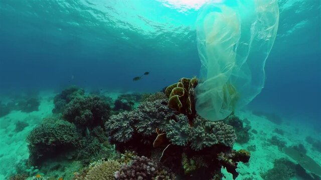 The sea and the coral reef is polluted with plastic bags and human waste. Environmental Pollution and Ecological problem.