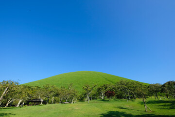 静岡県伊東市の大室山