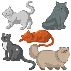 set of cartoon cats