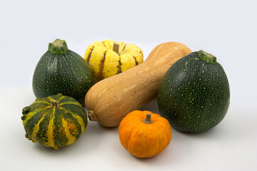 Still life on white of various types of pumpkins