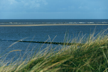 Fototapeta na wymiar Blick durch das Baltrumer Dünengrass auf die Nordsee