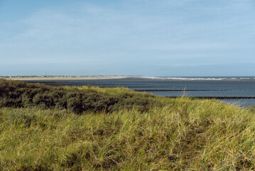 Fototapeta na wymiar Blick über das Baltrumer Dünengrass nach Noderney
