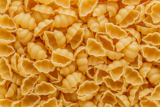 Dry pasta Conchiglioni Rigati. Conchiglioni Rigati have shape and yellow color. Pasta is delicious Italian traditional food made from wheat flour like noodles.Pasta background.Top view