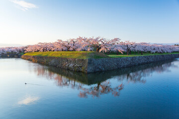 朝の五稜郭公園と満開の桜