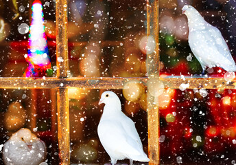 white dove purge on windowsill in winter