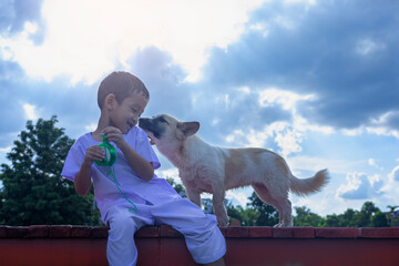 The boy was happily sitting with his dog on a bridge in a park. Friendship, love between humans and animals