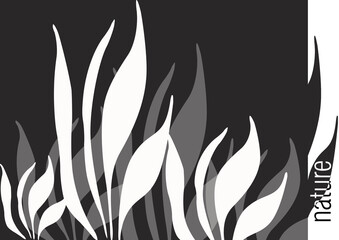 Background natural grass black and white style