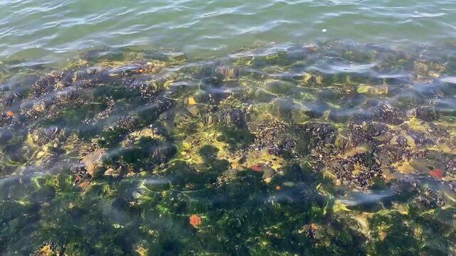 Ege sea , Izmir