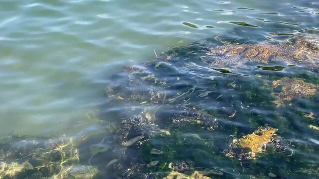 Ege sea , Izmir