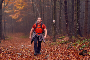 Naklejka premium Hiking into the foggy forest