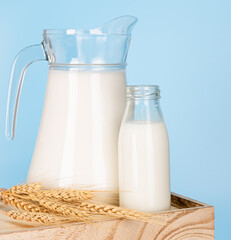 Jug and bottle of fresh milk glass on barley wheat and wooden crate box on a blue background. Raw milk is high in calcium and protein to drink for all ages. Milk consumption nutritious and healthy dai