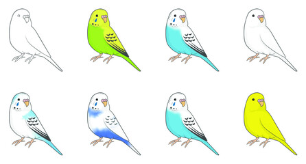 セキセイインコ