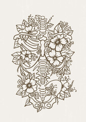 Human skeleton floral ribs poster pelvis bones torso human anatomy - 399383736