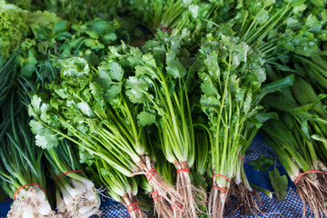 Different fresh vegetables and herbs on Thai market. Dill. coriander, spring onions 