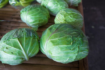 Fototapeta premium Fresh cabbages on a wooden table