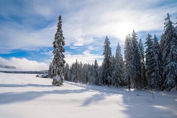 Winterlandschaft auf der Teichalm in der Steiermark