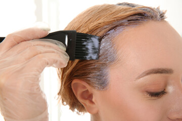 Fototapeta premium Young woman applying dye on hairs indoors, closeup
