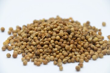 Coriander