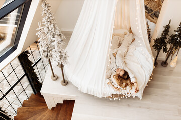 Overjoyed woman laying in canopy bed, chilling, smiling, gorgeous lady resting, enjoy weekends, spend winter holidays at home, New Year celebration, Christmas morning concept