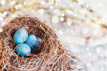 Fototapeta na wymiar Three speckled Robin blue songbird eggs in a real bird's nest. Extreme shallow depth of field with blurred background and bokeh.