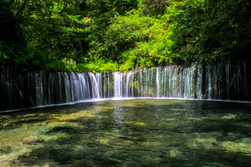 Fototapeta na wymiar 白糸の滝
