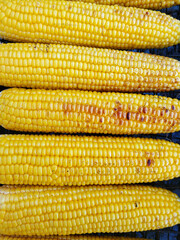 Grill corn on the grill close up