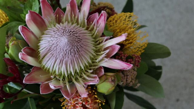 bunch of native Australian flower with proteas and kangaroo paws