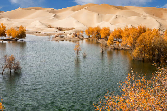 The taklamakan in iminqak Luo Bo lake in xinjiang