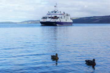 two ducks swimming on lake with ship in background
