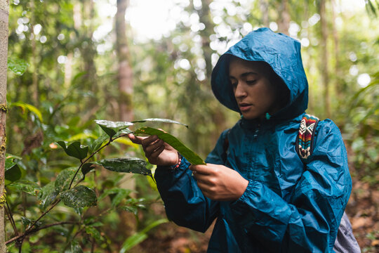 Girl in blue raincoat watching a plant