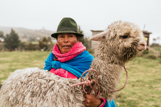 Qechua woman grabbing an alpaca in the Andes