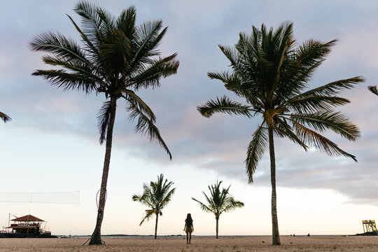 Silhouette of a girl in a palm beach