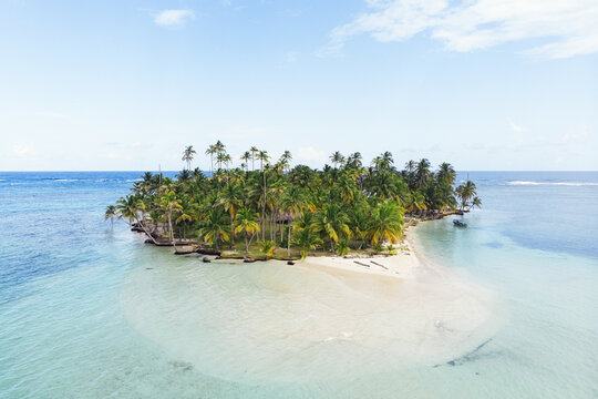 Exotic island with palm trees