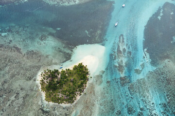 Exotic island with palm trees