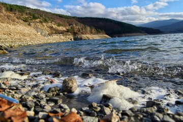 Coast of Zavoj Lake, Serbia