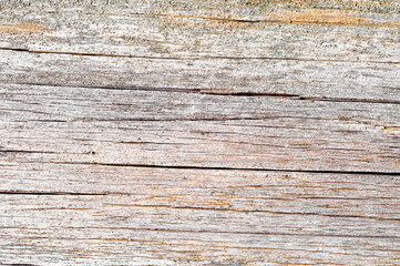 Wooden background from old boards close up